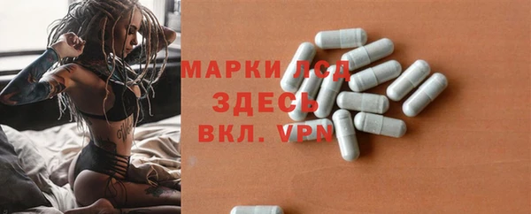 мяу мяу мука Абаза