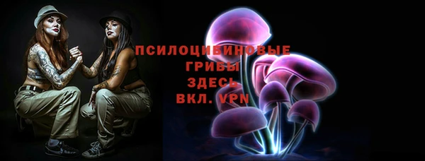 мяу мяу мука Абаза