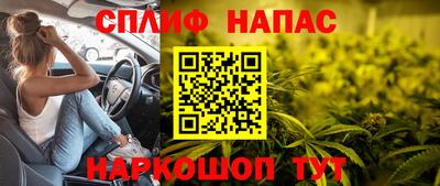 СК Абакан
