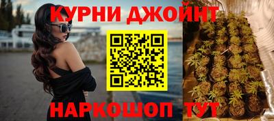 a pvp Моздок