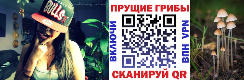 Галлюциногенные грибы ЛСД  магазин  наркотиков  Сорочинск 