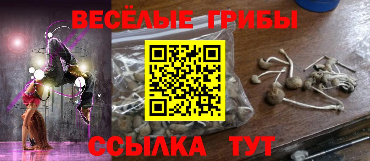 Галлюциногенные грибы GOLDEN TEACHER Сорочинск