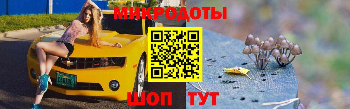 Псилоцибиновые грибы Psilocybine cubensis  где найти   Сорочинск  Вход с VPN 