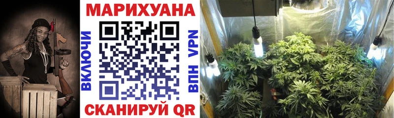 Бошки марихуана White Widow Сорочинск